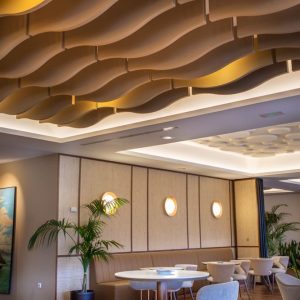 FOAM Baffle Curved